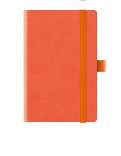 TUCSON TACCUINO RIGHE 9x14 2